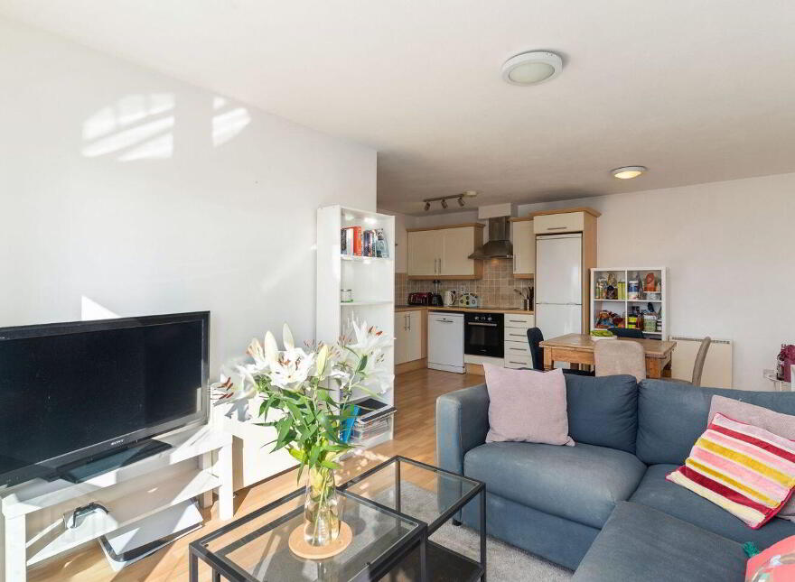 79 Shelbourne Park Apartments, South Lotts Road, Ringsend, Ringsend, D04F516