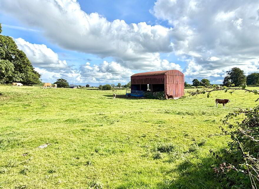 52 Drumanphy Road, Portadown, BT62 1SN