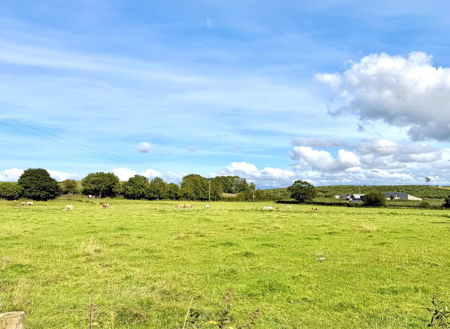 52 Drumanphy Road, Portadown, BT62 1SN
