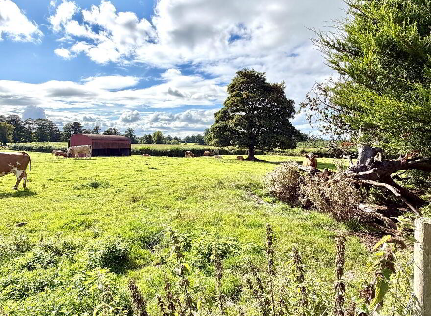 52 Drumanphy Road, Portadown, BT62 1SN