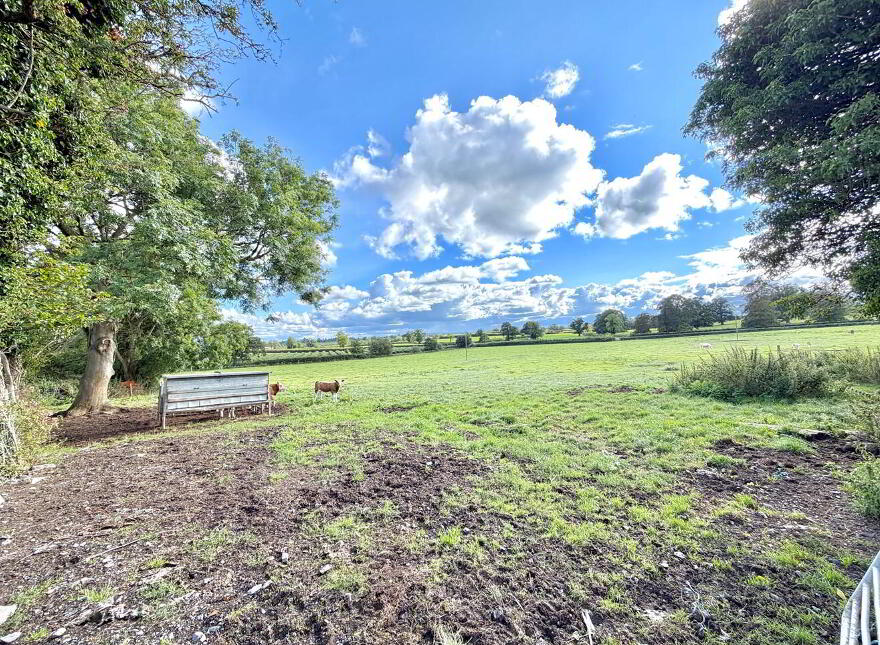 52 Drumanphy Road, Portadown, BT62 1SN