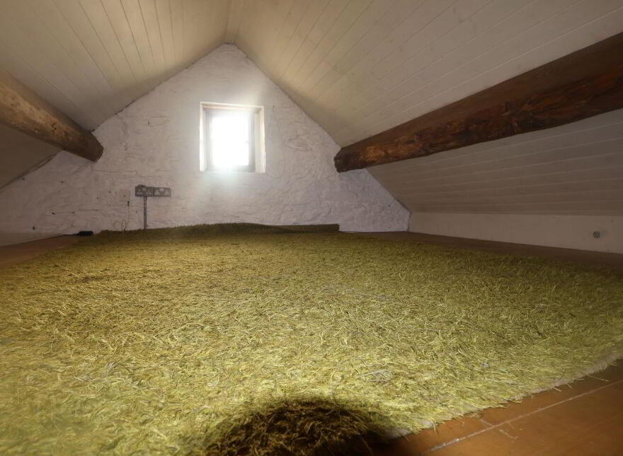 Graigue Little, Fethard-On-Sea, Y34D297
