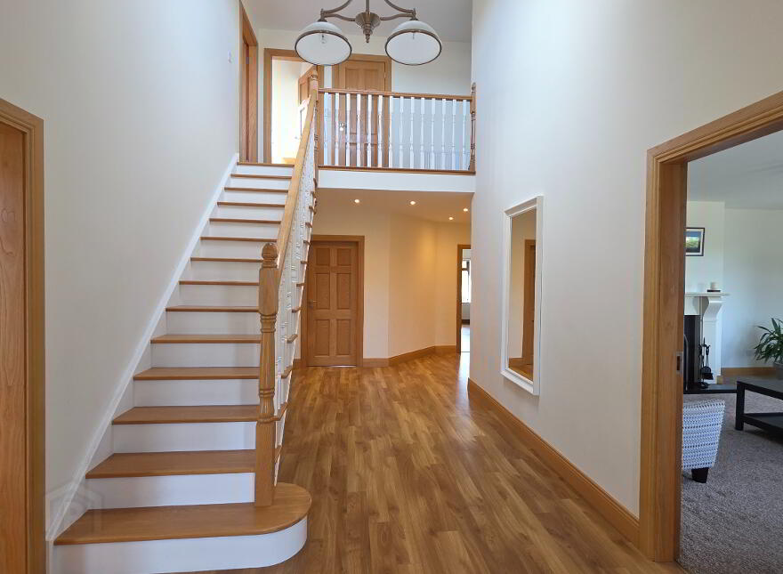 Carrickataskin, Derrybeg, F92TWK3