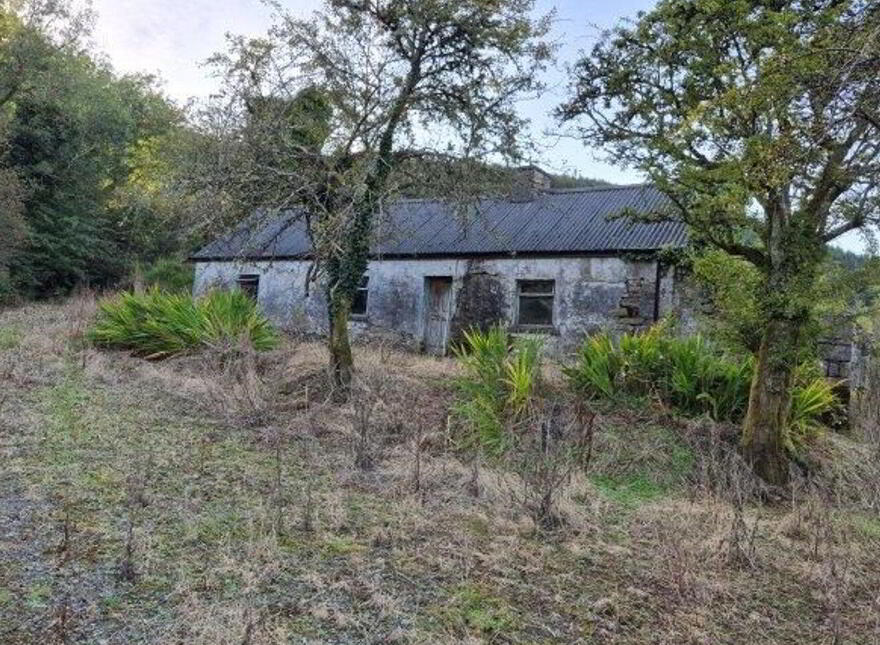 Gleniege, Glencar, Manorhamilton photo