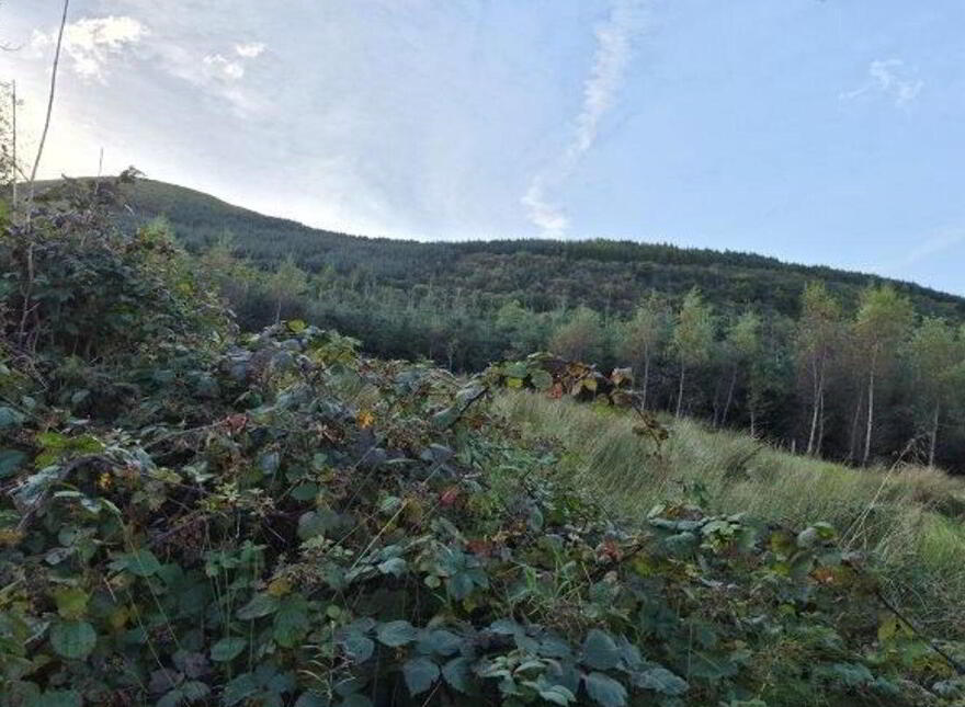 Gleniege, Glencar, Manorhamilton