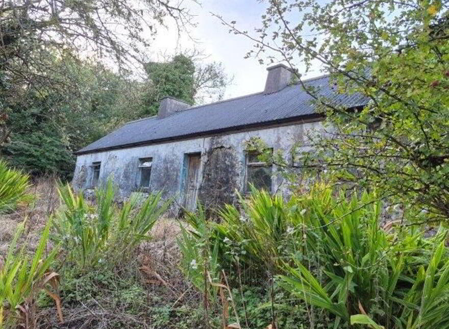 Gleniege, Glencar, Manorhamilton