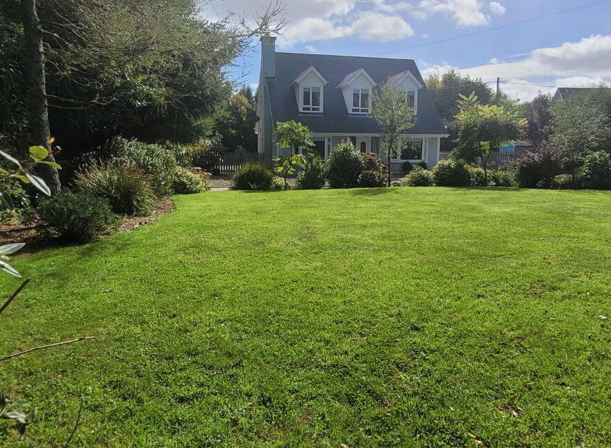 Ballycarrigeen Upper, Ferns, The Harrow, Y21K067