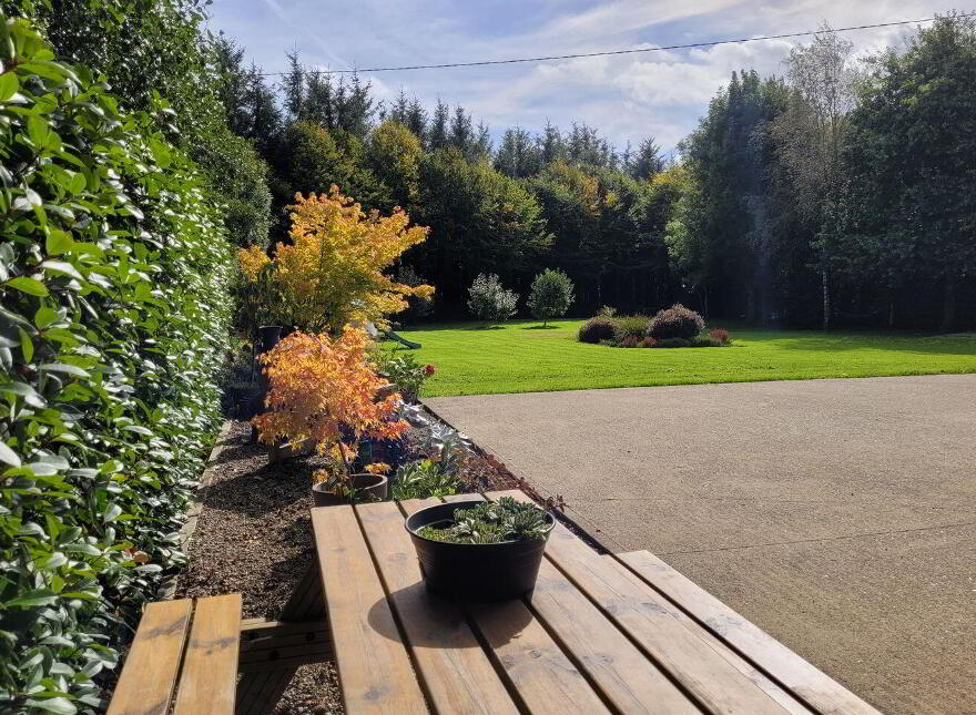 Ballycarrigeen Upper, Ferns, The Harrow, Y21K067