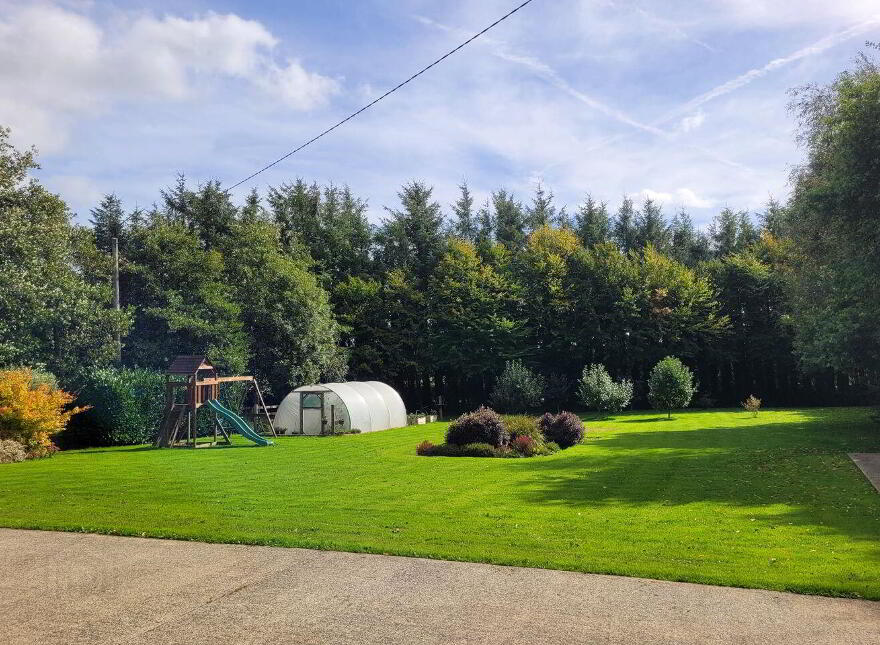 Ballycarrigeen Upper, Ferns, The Harrow, Y21K067