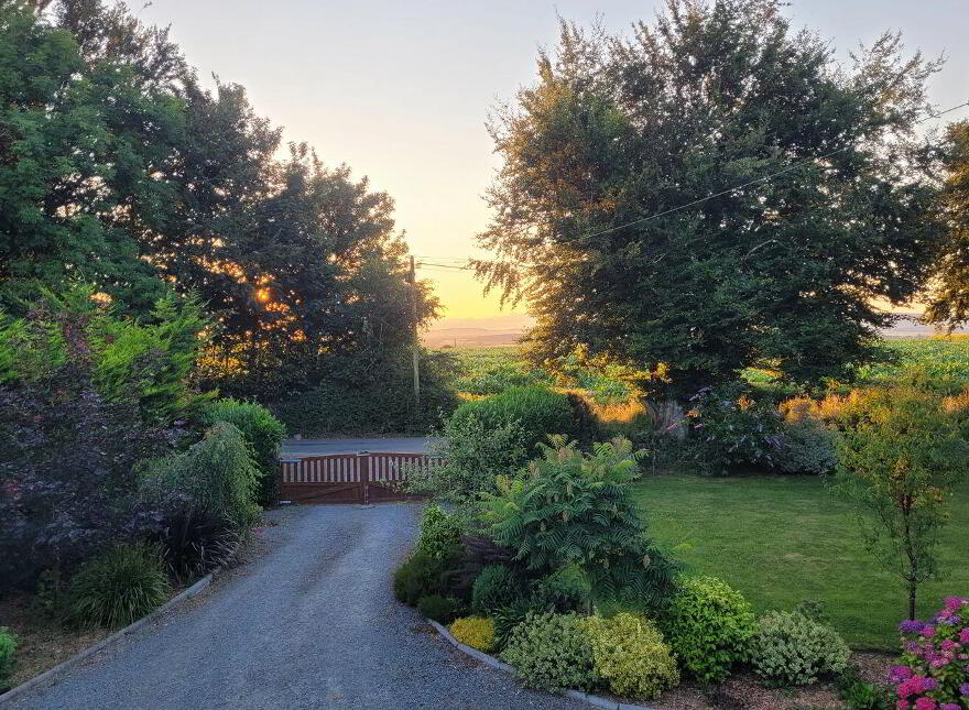 Ballycarrigeen Upper, Ferns, The Harrow, Y21K067