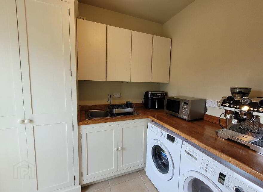 Ballycarrigeen Upper, Ferns, The Harrow, Y21K067