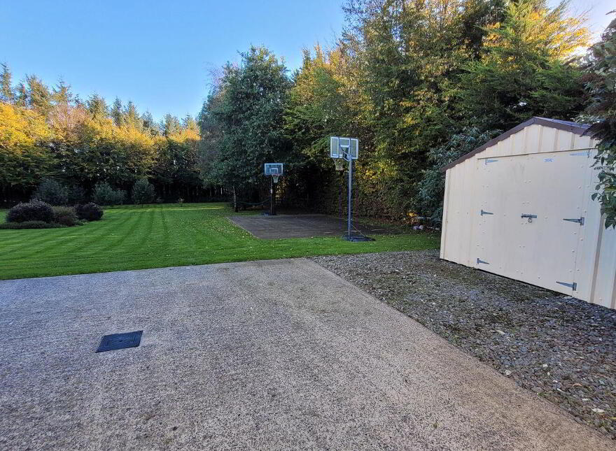 Ballycarrigeen Upper, Ferns, The Harrow, Y21K067