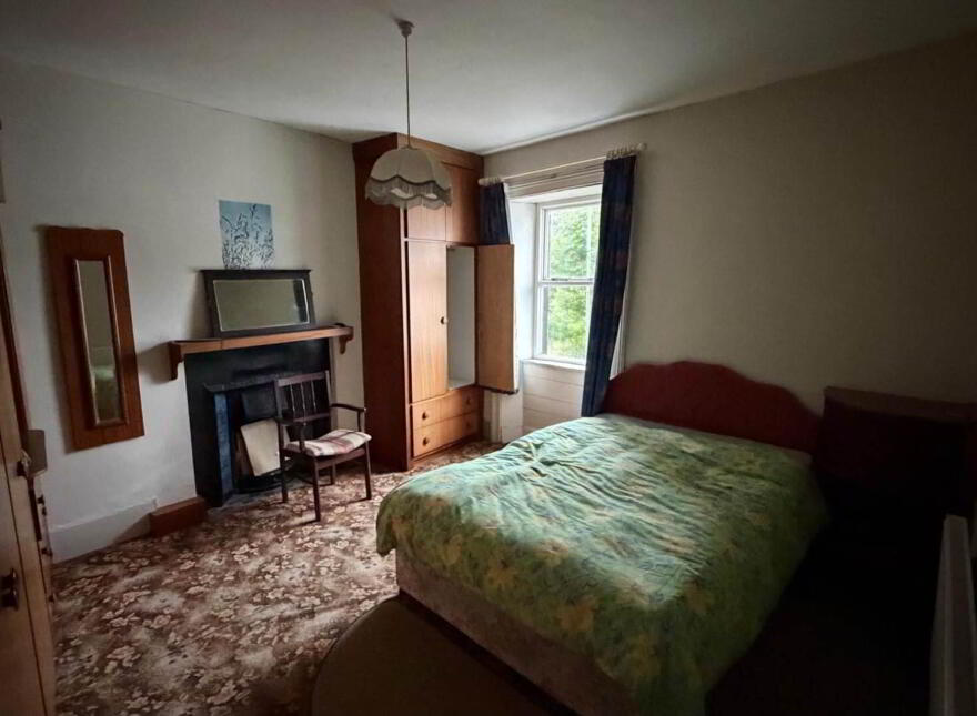 Townhouse, Parnell Street, Mountmellick, R32D377