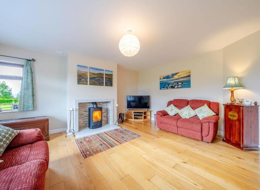 Terranova, Tawnawoggaun, Newport, F28K099