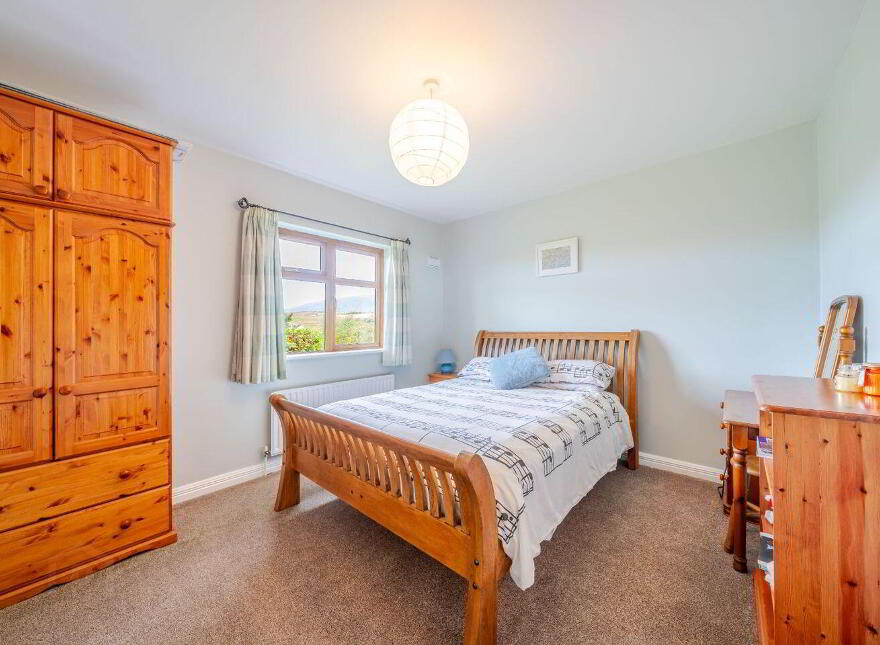 Terranova, Tawnawoggaun, Newport, F28K099