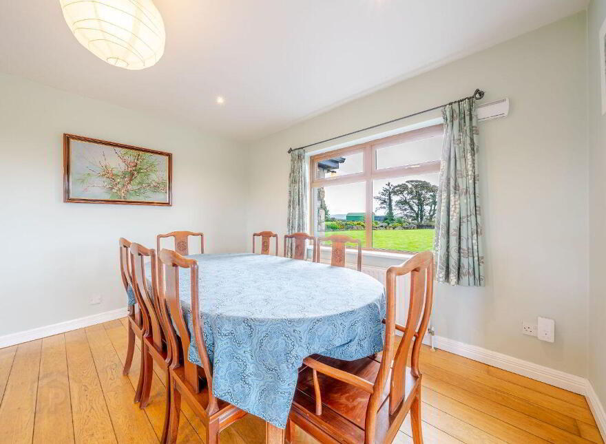 Terranova, Tawnawoggaun, Newport, F28K099