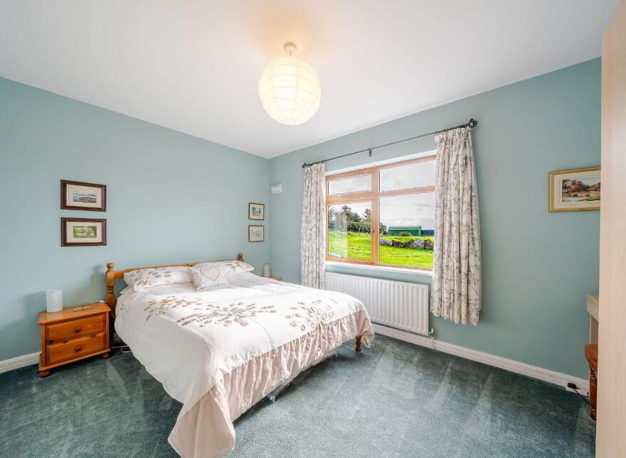 Terranova, Tawnawoggaun, Newport, F28K099