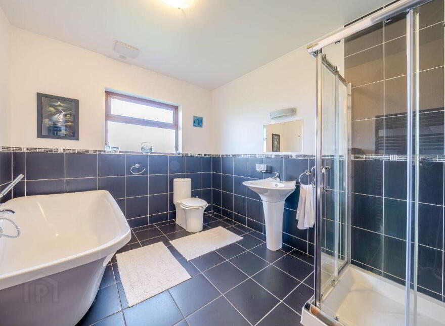 Terranova, Tawnawoggaun, Newport, F28K099