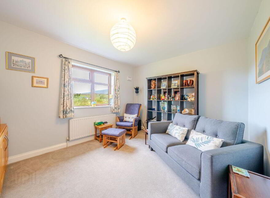 Terranova, Tawnawoggaun, Newport, F28K099