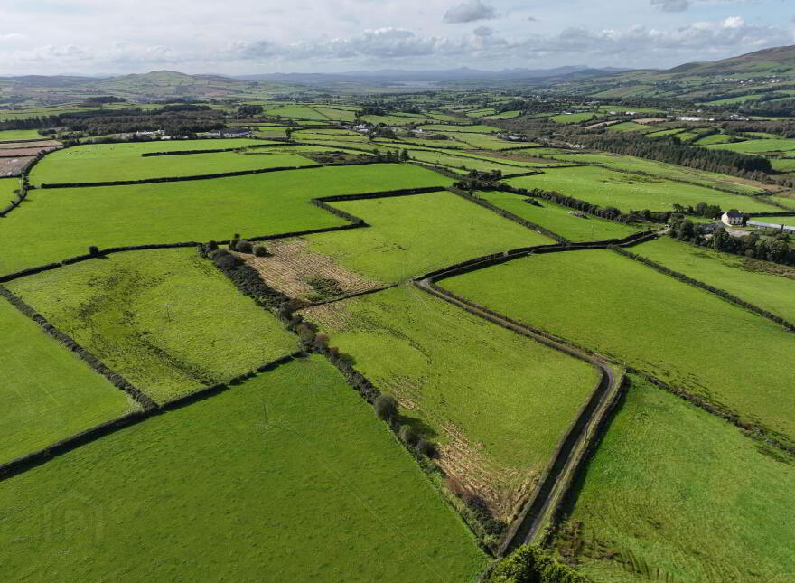 Derryvane, Muff