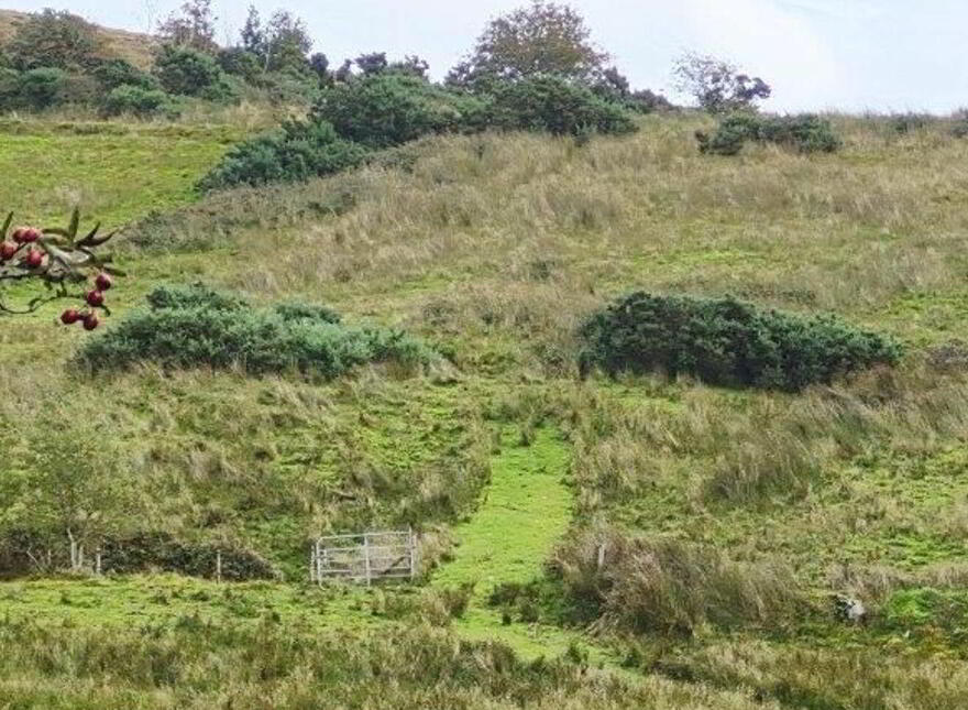 Kiltyclogher, Kiltyclogher, F91E266