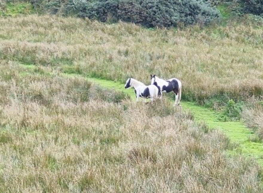 Kiltyclogher, Kiltyclogher, F91E266