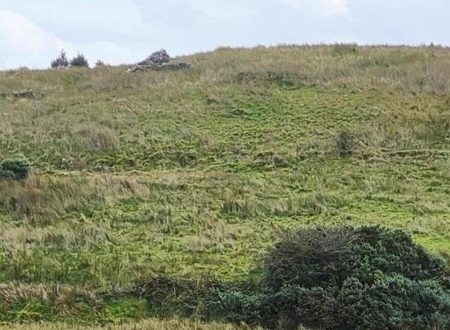 Kiltyclogher, Kiltyclogher, F91E266