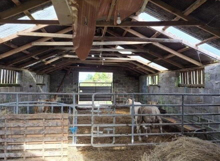 Kiltyclogher, Kiltyclogher, F91E266