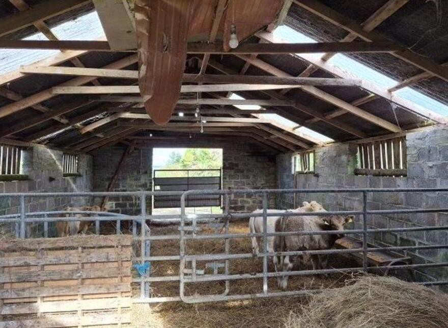 Kiltyclogher, Kiltyclogher, F91E266