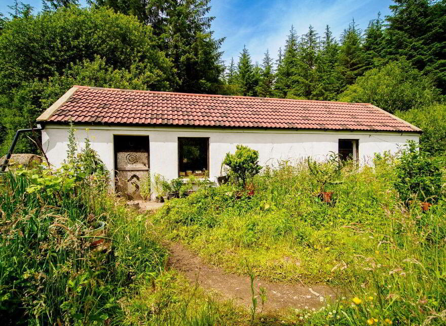 Rooskagh, Carrigkerry