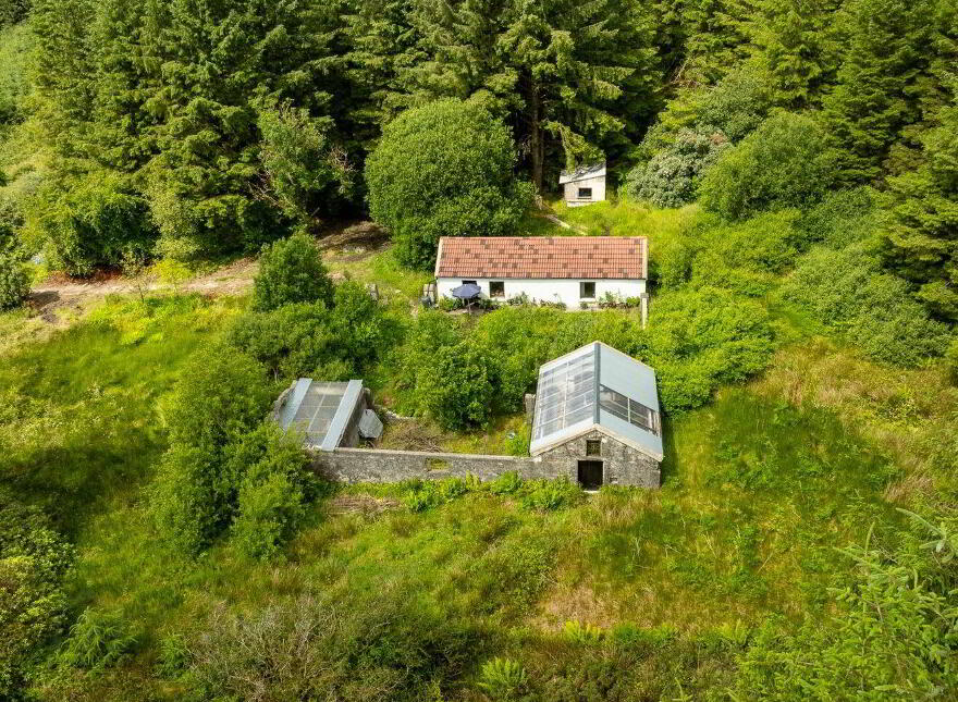 Rooskagh, Carrigkerry