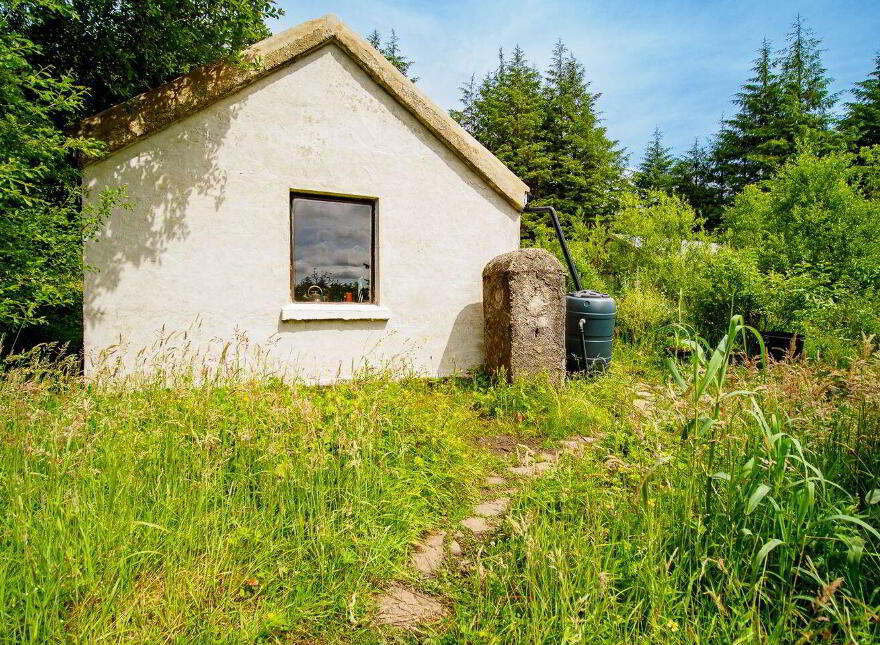 Rooskagh, Carrigkerry
