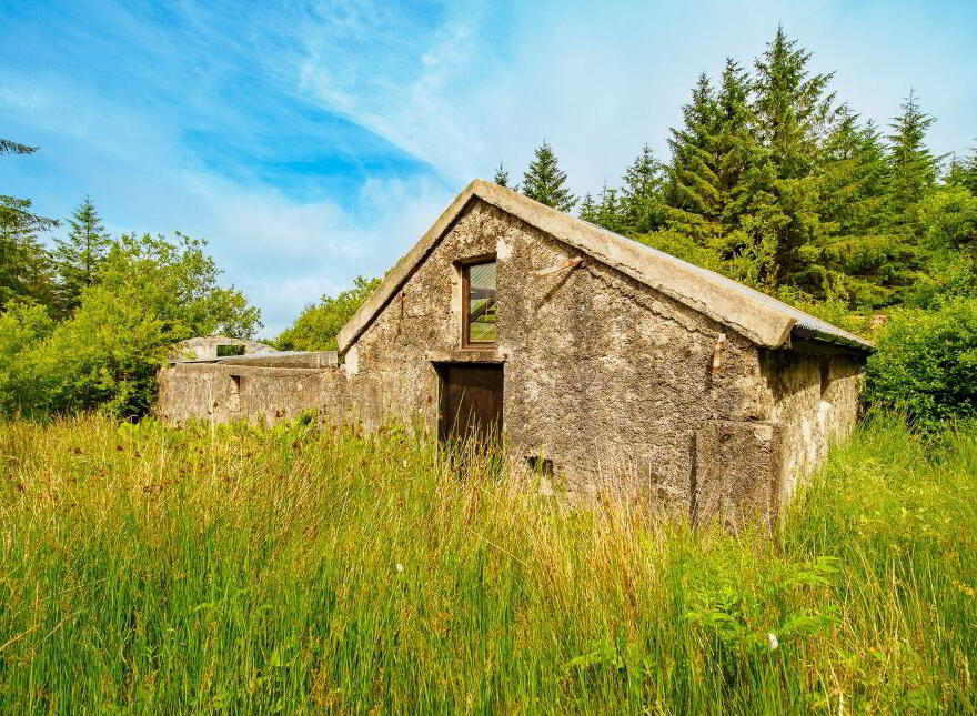 Rooskagh, Carrigkerry