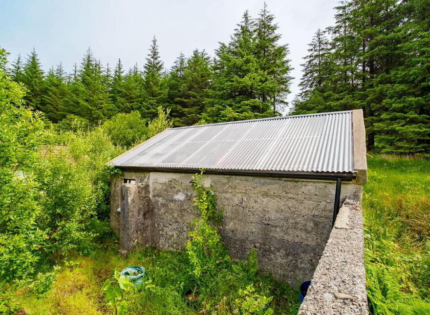 Rooskagh, Carrigkerry