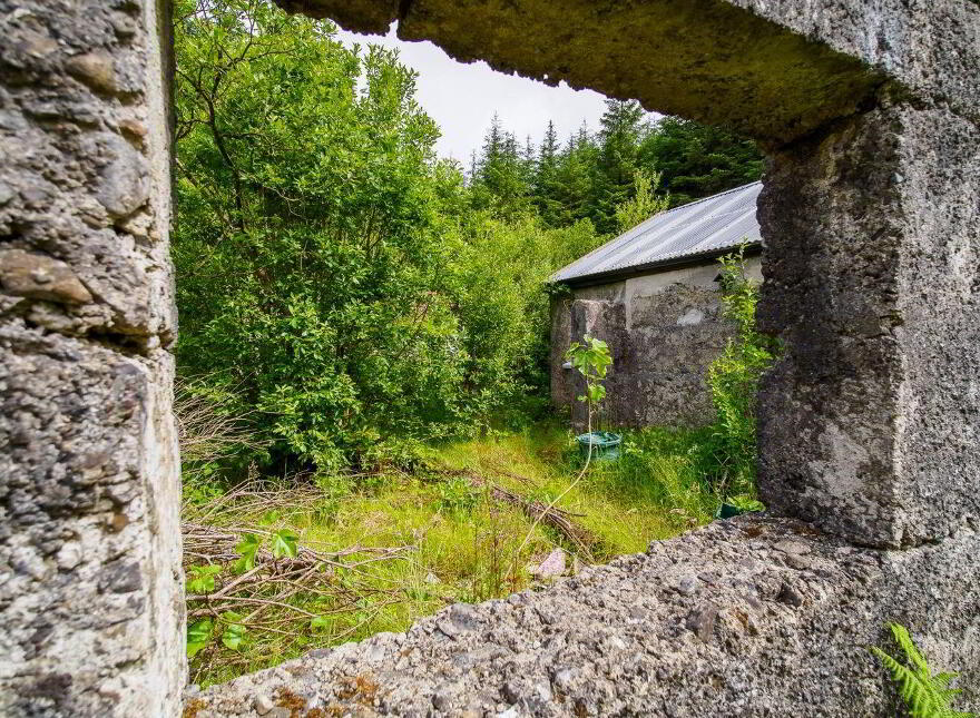 Rooskagh, Carrigkerry