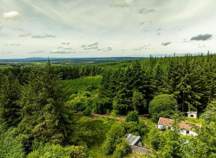 Rooskagh, Carrigkerry