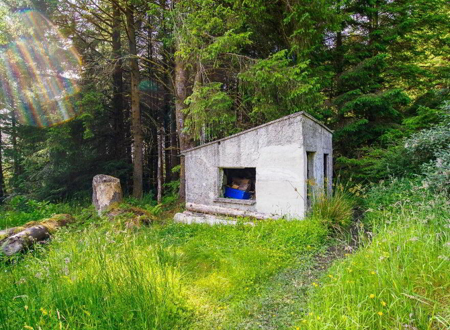 Rooskagh, Carrigkerry