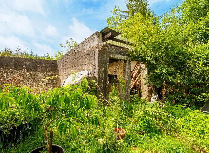 Rooskagh, Carrigkerry