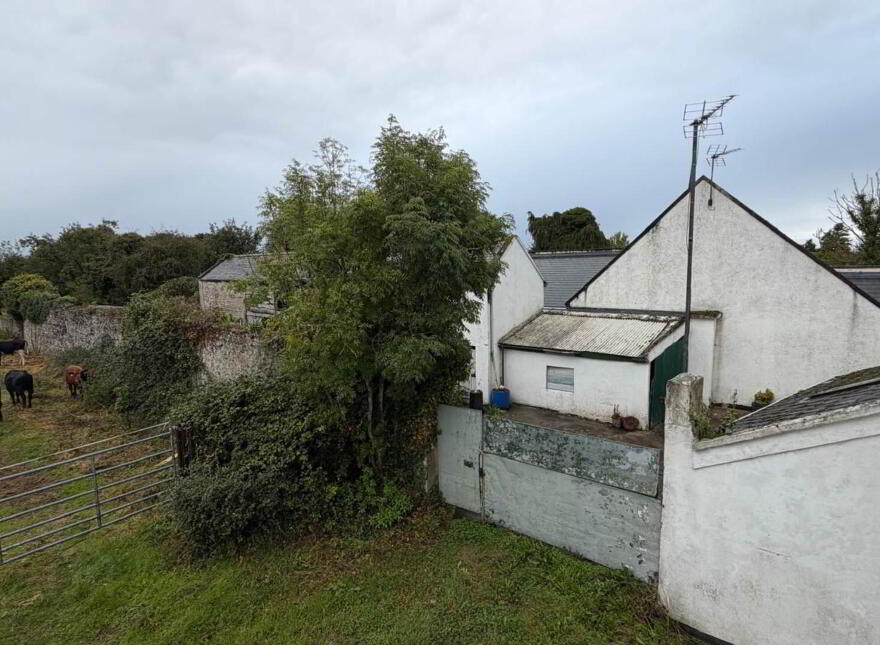 1.6 Acre Development Site Zoned Town Centre, Parnell Street, Mountmellick, R32E521