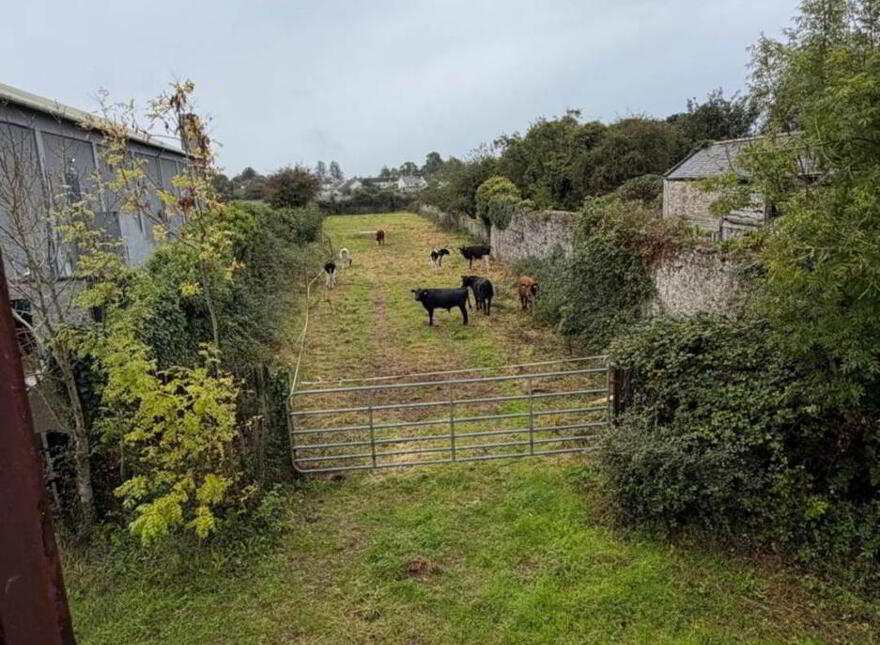 1.6 Acre Development Site Zoned Town Centre, Parnell Street, Mountmellick, R32E521