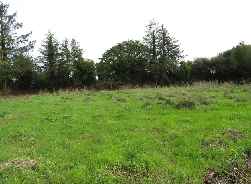 Thomastown, Effin, Kilmallock