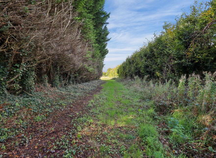 Hill House, Thornton, Swords, K67XA07