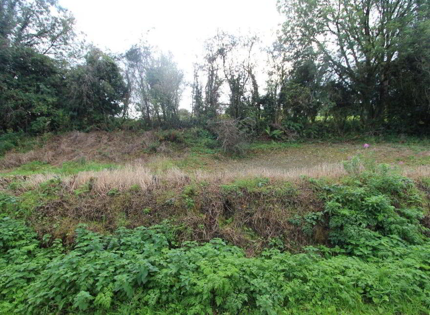 Corratanty, Castleblayney