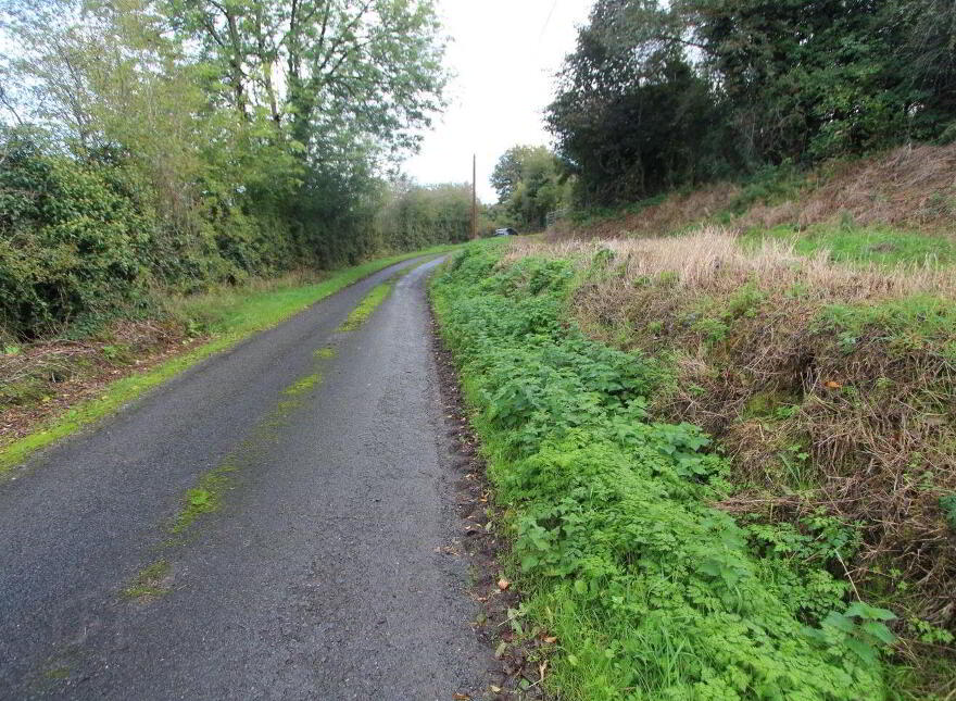 Corratanty, Castleblayney