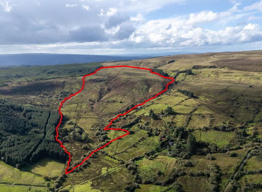 Lands, Co. Leitrim, 15197, Tawnylea, N41E894