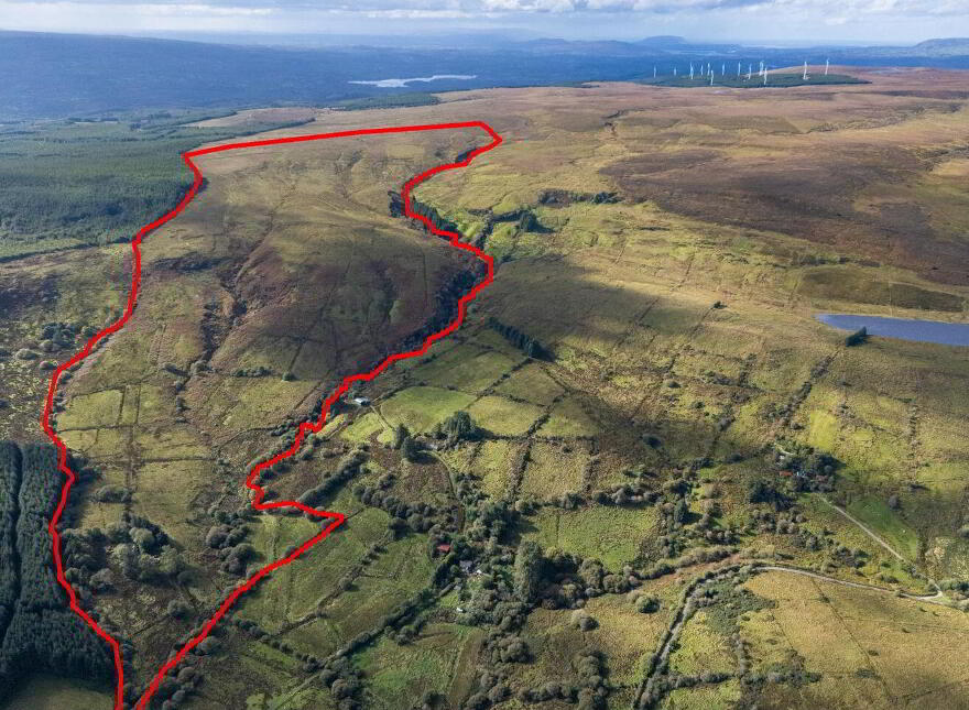 Lands, Co. Leitrim, 15197, Tawnylea, N41E894