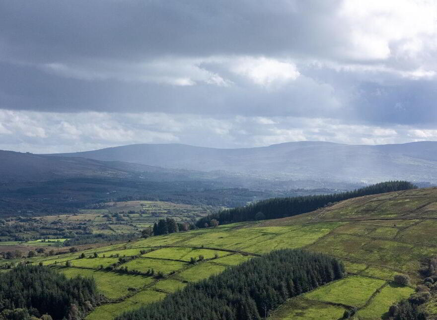 Lands, Co. Leitrim, 15197, Tawnylea, N41E894