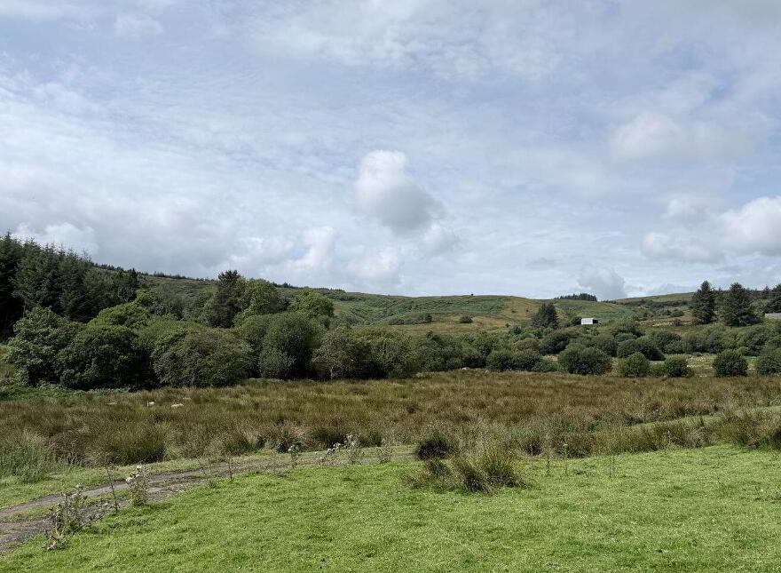 Lands, Co. Leitrim, 15197, Tawnylea, N41E894