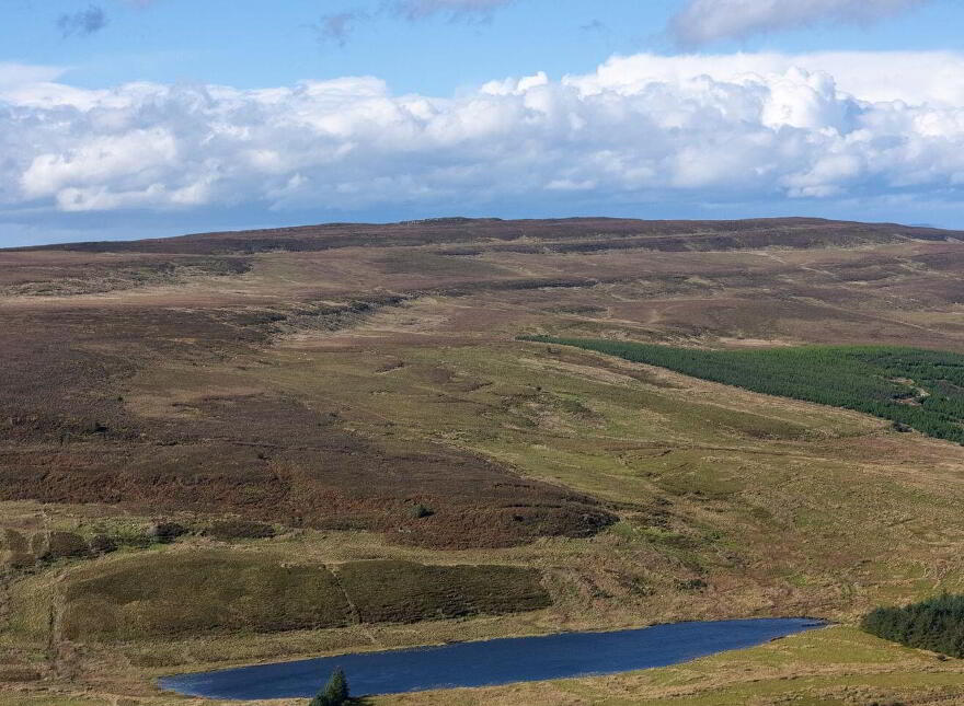 Lands, Co. Leitrim, 15197, Tawnylea, N41E894