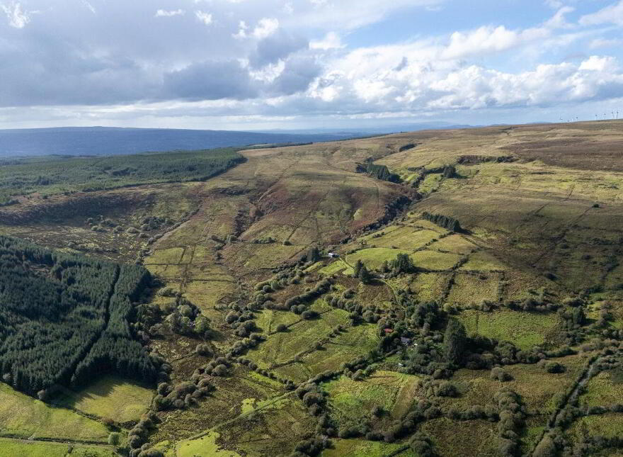Lands, Co. Leitrim, 15197, Tawnylea, N41E894